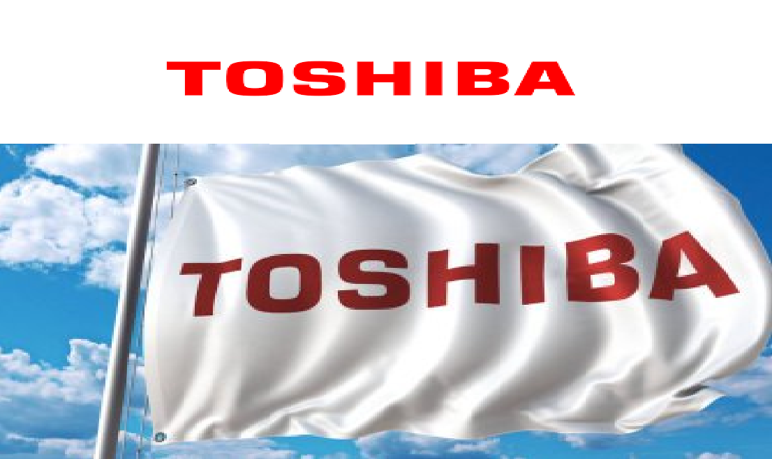 İzmir Balçova Toshiba Kombi Klima Servisi
